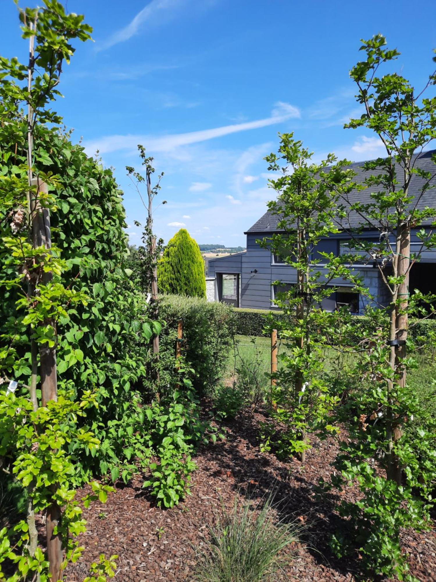 La Petite Maison Du Weris Villa Miecret ภายนอก รูปภาพ